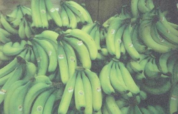 bananas.jpg